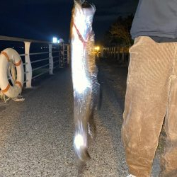 いきなりガツンと