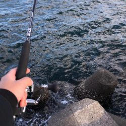 初投稿^_^久しぶりの