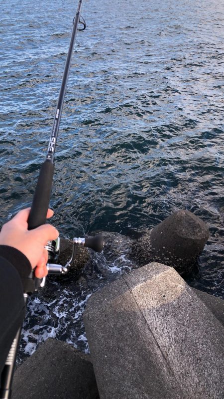 初投稿^_^久しぶりの