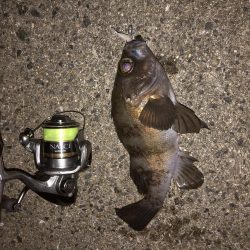 寒くなる前に！！