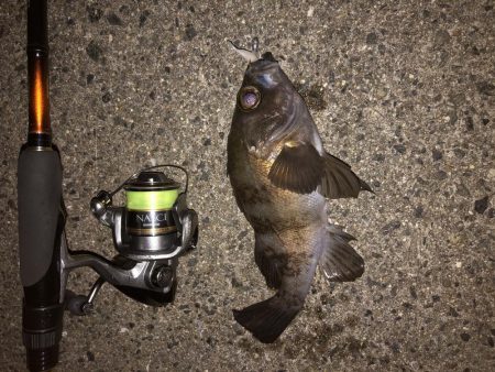 寒くなる前に！！