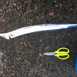 あたりはあるが•••