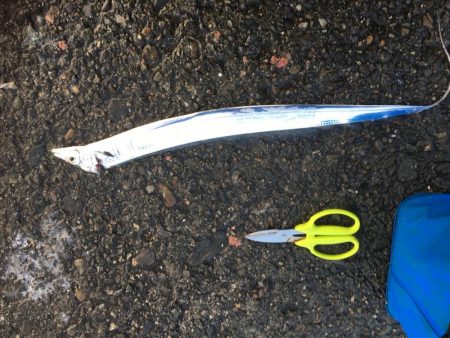 あたりはあるが•••