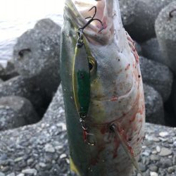 シーズン終了間近！お急ぎ下さい