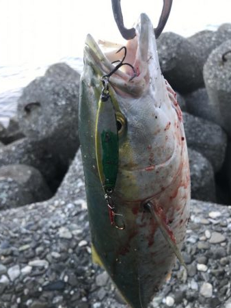 シーズン終了間近！お急ぎ下さい