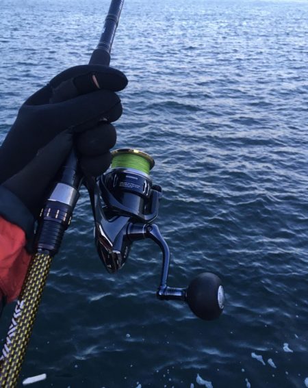 ガシラにはサバの切り身が1番