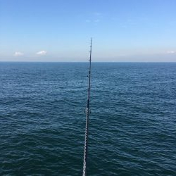 傷だらけの天使