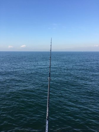 傷だらけの天使