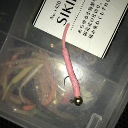 1人きりのメリクリ釣行