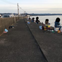 シマアジ1匹、メッキ6匹、アイゴ2匹