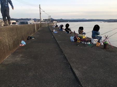 シマアジ1匹、メッキ6匹、アイゴ2匹