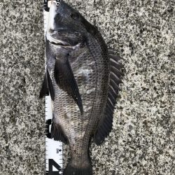 イチノ兄弟、釣果!