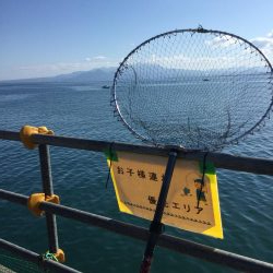 夢みなとショアジギング釣行