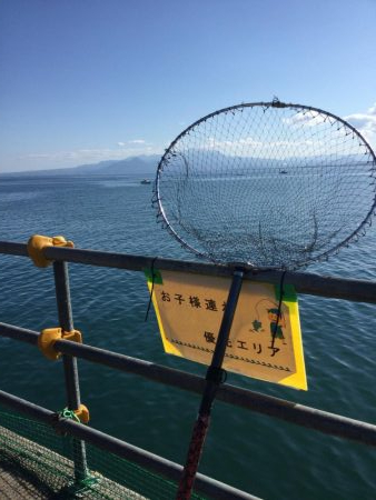 夢みなとショアジギング釣行