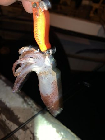 さぁ!ヒイカ‼︎