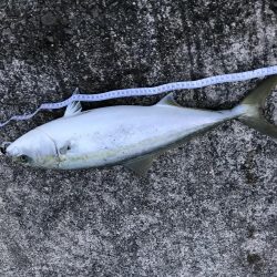 時合いは一瞬！その時…