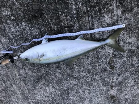 時合いは一瞬！その時…