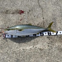 寒波あとに漸く、青物