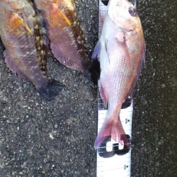 令和二年最終釣行