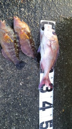 令和二年最終釣行