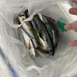 釣り納め