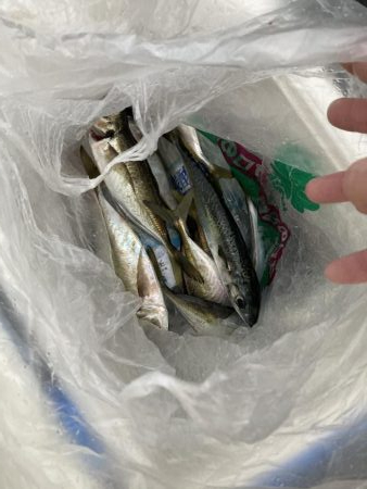 釣り納め