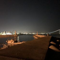 魅力的なガッシー！