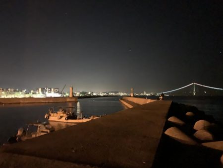 魅力的なガッシー！