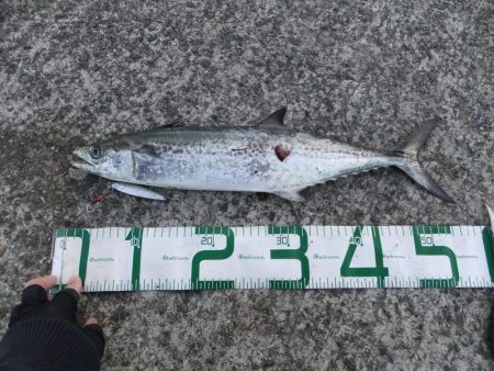 まだまだ釣れます