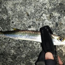 冬のライトゲーム