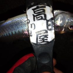 少しだけちょい投げ