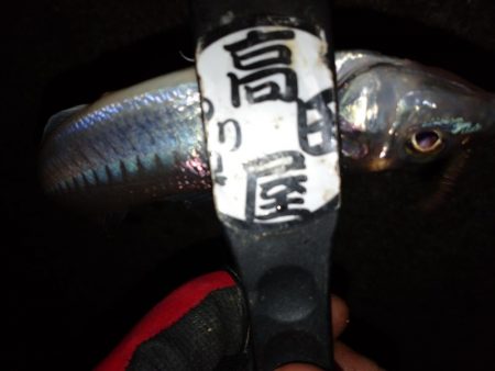 少しだけちょい投げ