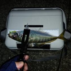 気温がまだ高いので