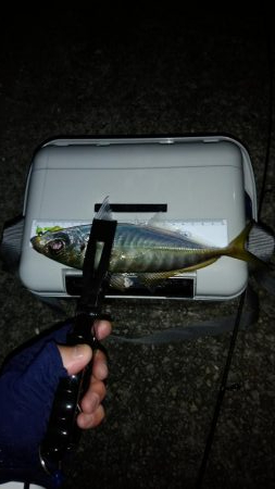 気温がまだ高いので