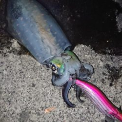 価値ある一杯！