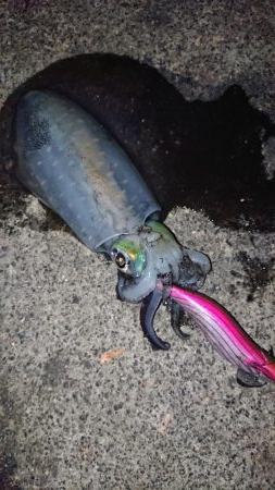 価値ある一杯！