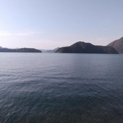 サゴシがいっぱい跳ねてました