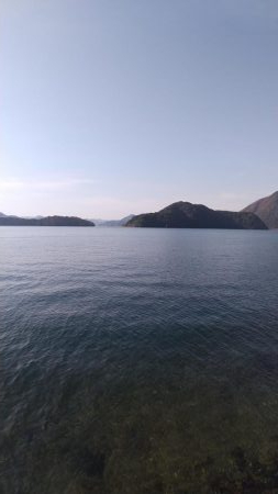 サゴシがいっぱい跳ねてました