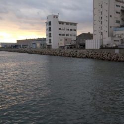 冬の根魚調査３