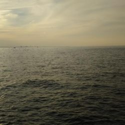 スーパーボイル発生‼