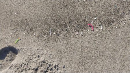 ジグサビキでヒラメ