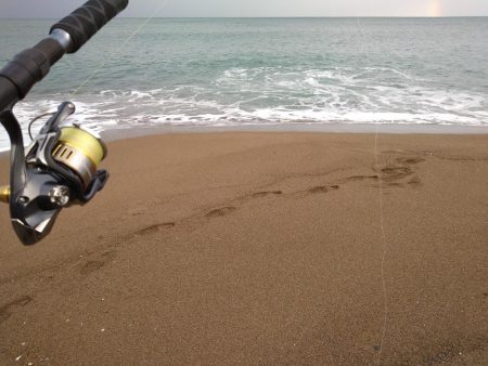 早朝サーフで青物