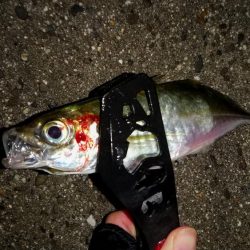 表層ハイアピール