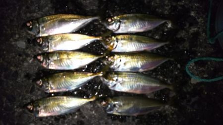 月が出るまでが勝負