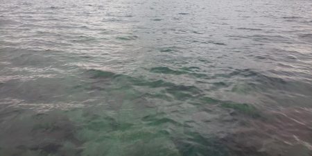 毎度です。小アジすら厳しくなってきました。