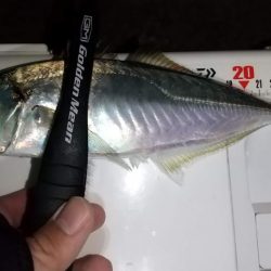 ライトゲームで6目釣り