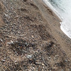 サーフ de 青物PART2