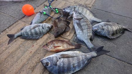 年に一度のフカセ釣り