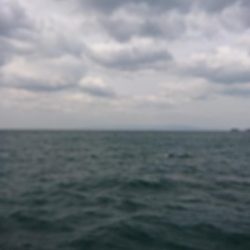 今年最後の？ショアジギング