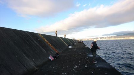 ムコイチショアジギ